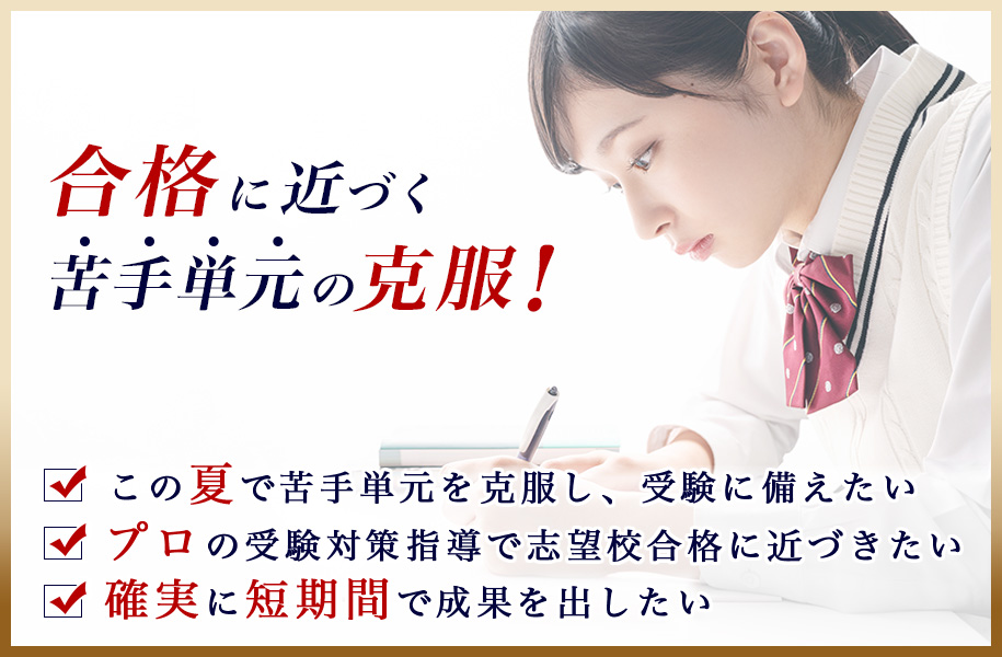 夏期集中講座